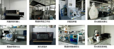 生物技術(shù)開發(fā)與化學(xué)工程技術(shù)服務(wù)平臺(tái)的融合創(chuàng)新