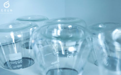 直擊醫(yī)藥行業(yè)痛點(diǎn)，高晉打造專業(yè)培訓(xùn)項(xiàng)目賦能生物技術(shù)開發(fā)