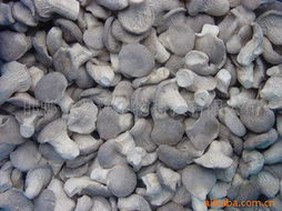 邯鄲市兆輝生物科技 深耕生物技術開發，打造多元化高品質食用菌產品矩陣