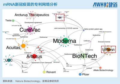 中國本土mRNA技術 差距、突破與未來之路